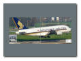 Singapore Airlines Airbus A380-841 9V-SKR
