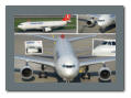 Turkish Cargo Airbus A330-243F TC-JDR